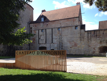 Chateau Louis XI 01