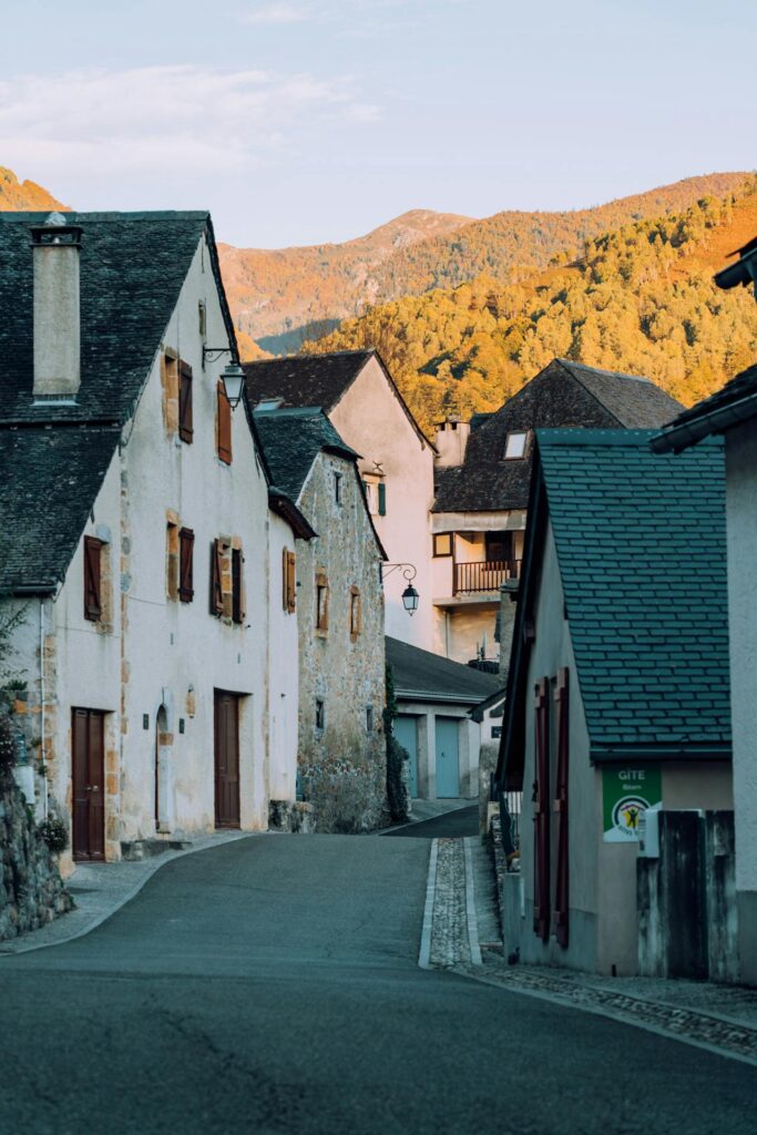 pexels jcosta 14356197