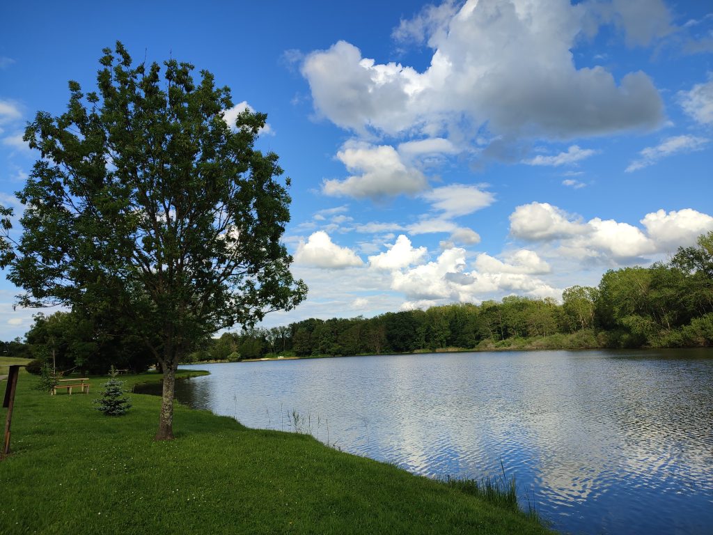 Etang Lamarche