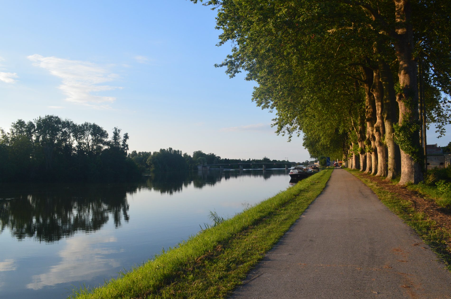 Bords de Saône avec véloroute