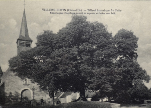 Villers rotin tilleul