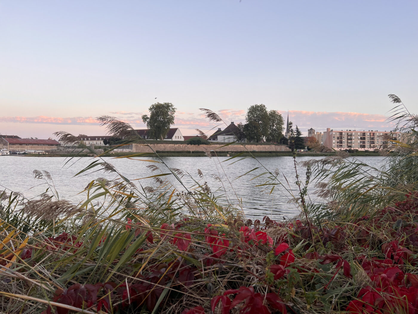 Bord de Saône