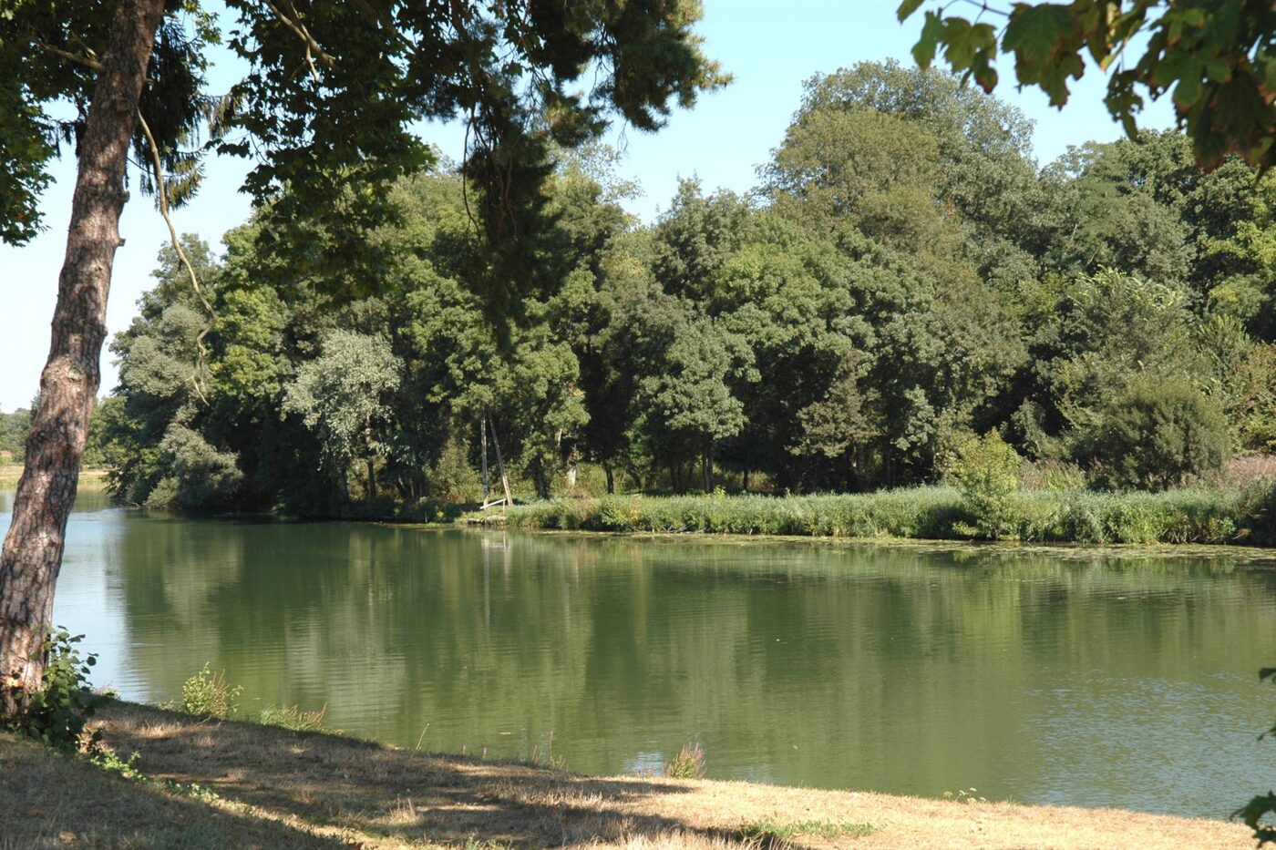 Etangs de la Saone