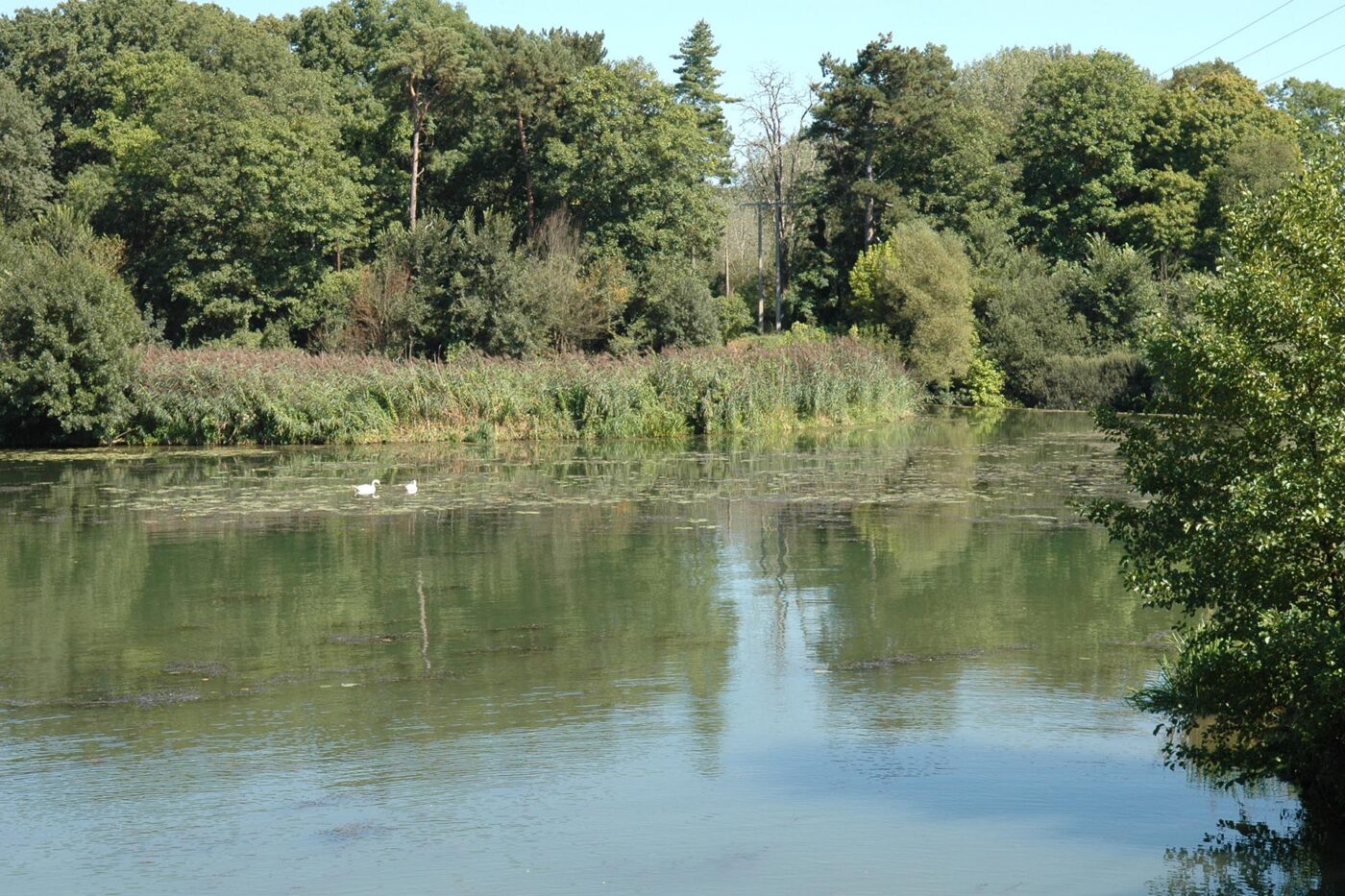 La Saône