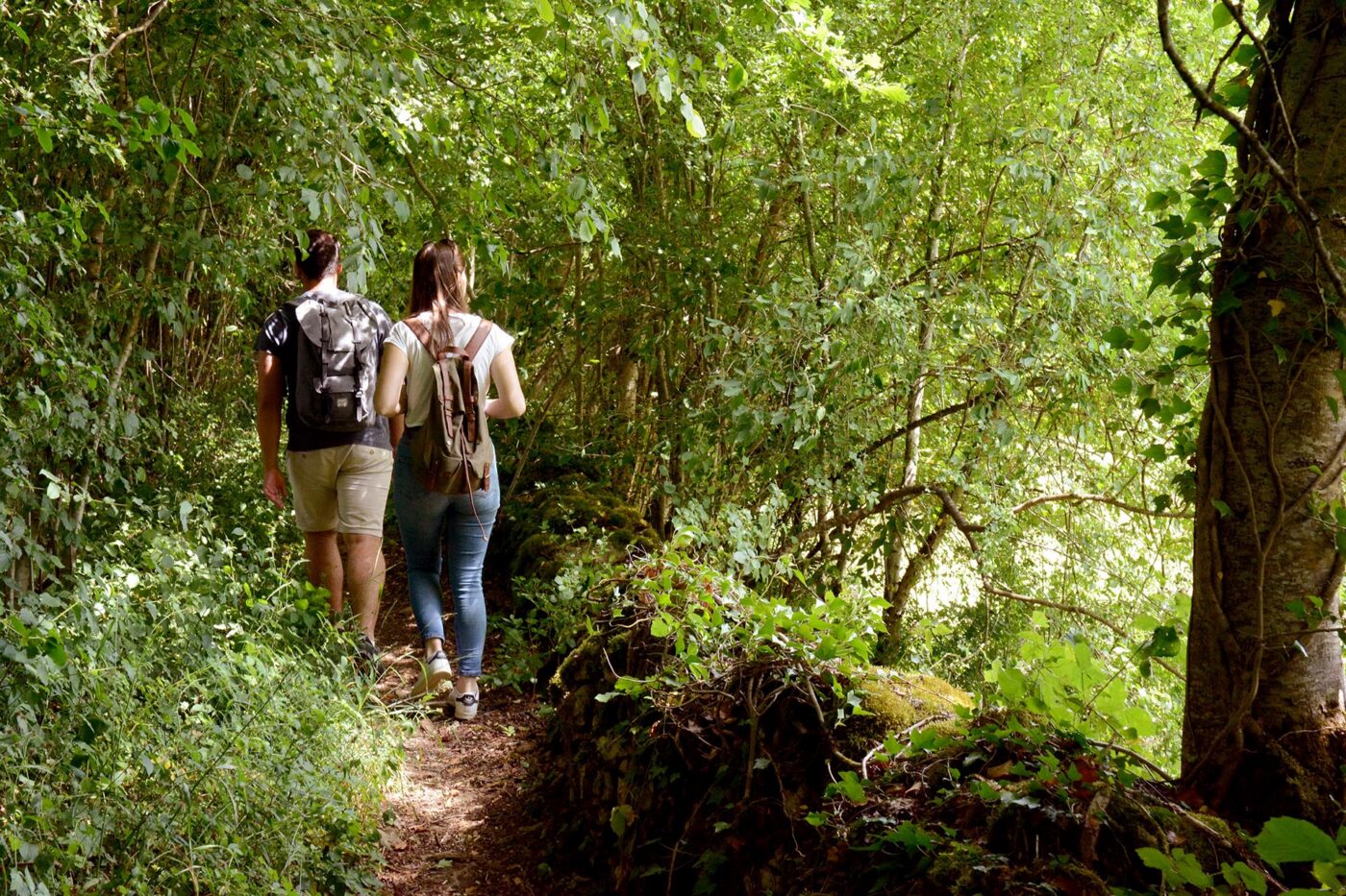 Randonnée en Forêt