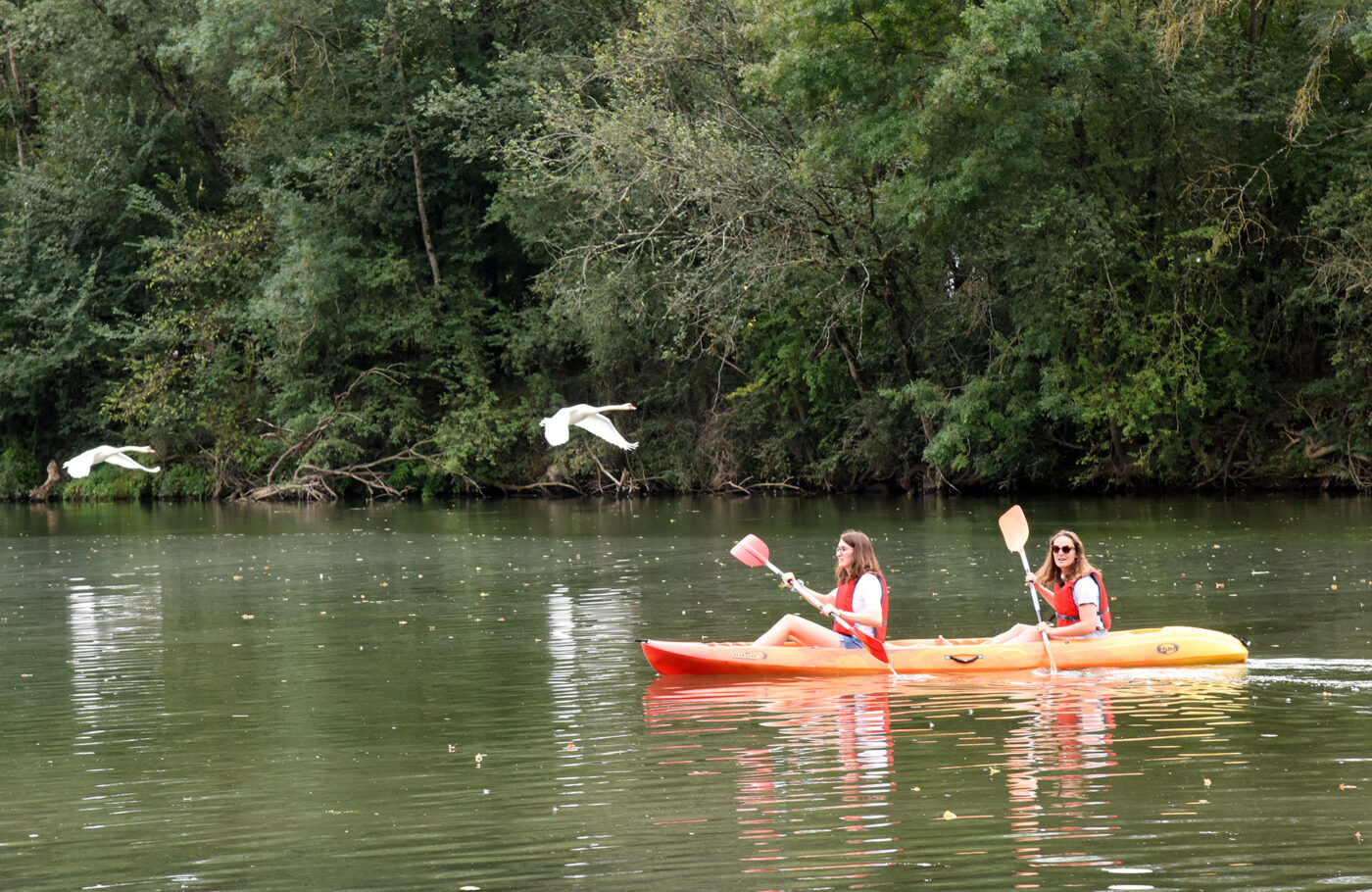 Canoë sur la Saône